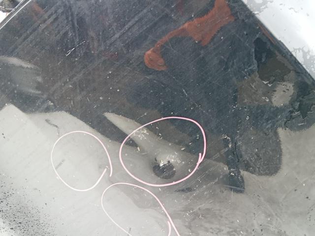 PORTA POST. SX KIA PICANTO 2016 - immagine 3