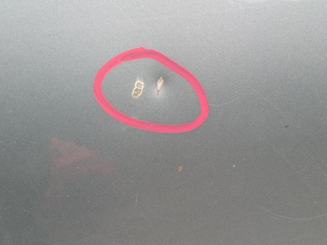 COFANO ANT. LANCIA DELTA 2010 - immagine 3