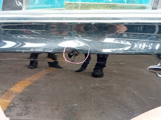 PORTIERA POSTERIORE SINISTRA PER BMW X3 1° Serie 204D4 (04>10) - immagine 5